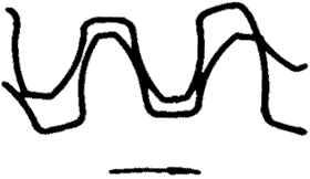 �X݆�����g(sh��)�Zһ�㶨�x