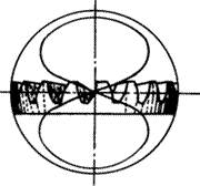 �X݆�����g(sh��)�Z�F�X݆�����p�����X݆�����X݆��