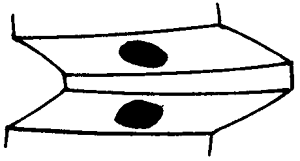 �F�X݆�͜��p�����X݆�g�Z�ӹ�������݆�X���|���z���ԇ�