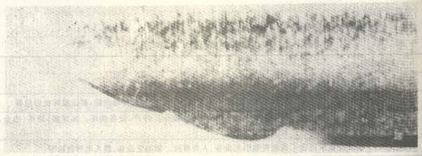 ʧЧ����ʽ�c�Г�(j��)