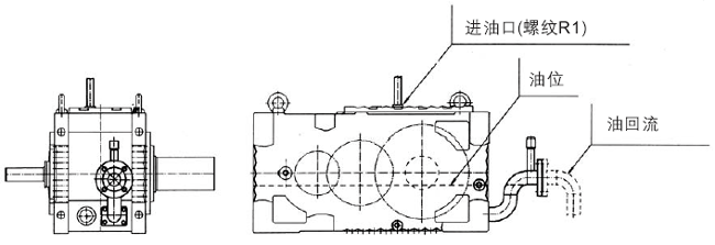     �͹ܳ���ֱ�����L(zh��ng)���S�p�����ߴ�����(r��n)���������͵�ճ�Ⱥ�������׃����